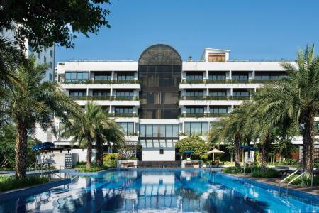 White Swan - 11