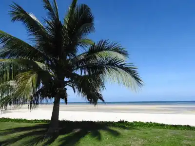 Laura's Guest House - adult only - - 23