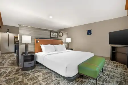 Best Western Plus GranTree Inn - 77