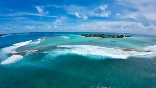 Avyanna Gulhi Beach - 10
