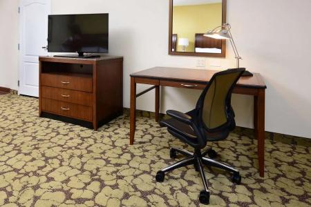 Hilton Garden Inn Greensboro Airport - 70