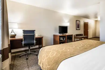 Comfort Suites at Par 4 Resort - 63
