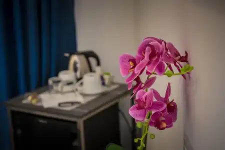 B&B Elegance - 87