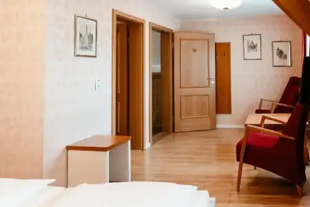 Hotel-Gasthof Goldener Greifen - 50