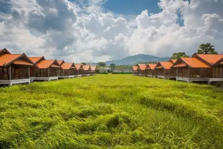 Farmer's Boutique Resort - 39