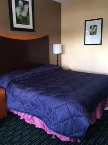 Diamond Inn and Suites - 33