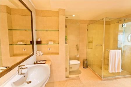 The Lalit Traveller Jaipur - 25