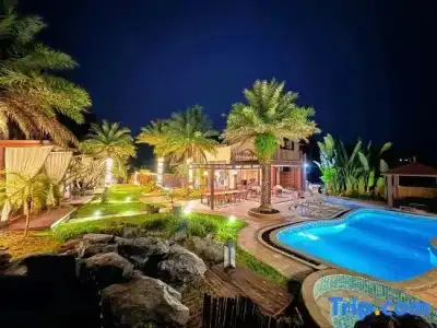Tranquil Shores Holiday Apartments - 185