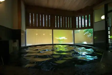 Fujiya Ryokan - 37