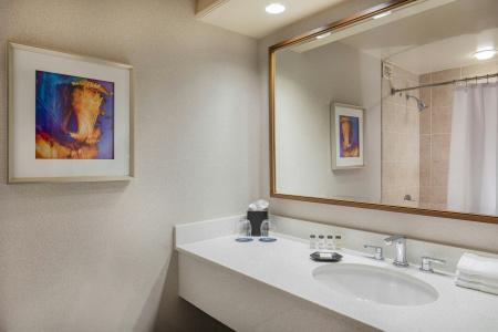 Sheraton Music City Nashville Airport - 8