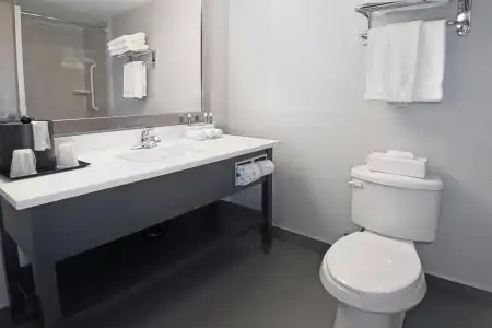 Holiday Inn Express & Suites Calgary by IHG - 29