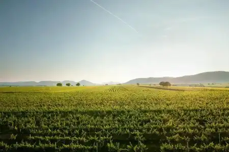 Villa Hochdörfer Gästehaus - 10