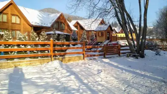 Mini Zakrut - 37
