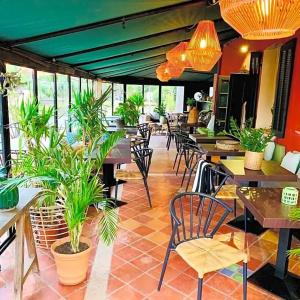 Le Jardin d'Emile - 11