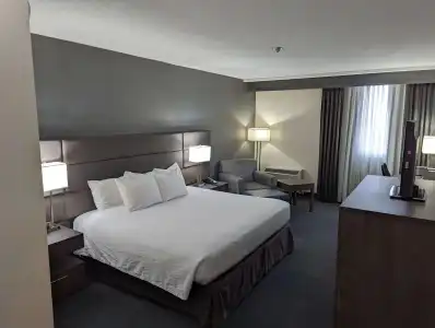 Best Western Plus Toronto Airport - 52