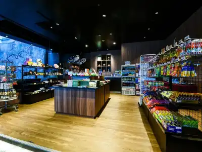 The Hedistar Narita - 10