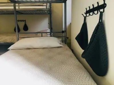 The Beehive Hostel - 5