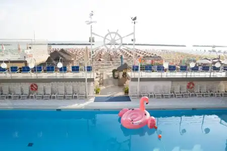 Flamingo - 12