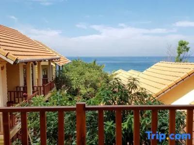 Free Beach Resort - 74