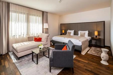 Park Plaza Trier, Germany - 43