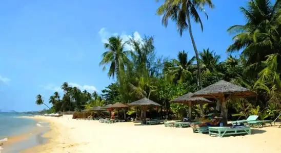 Thanh Kieu Beach Resort - 45
