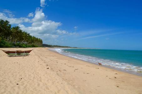 Green Parrot Beach Resort - 14