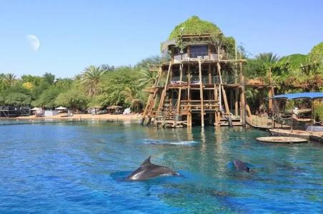 Sahara Eilat - 12