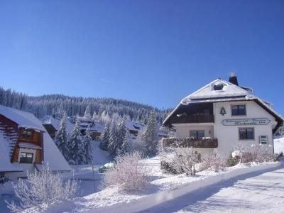Schwarzwald-Pension Kräutle - 33
