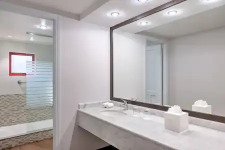 Four Points by Sheraton Santiago - 42