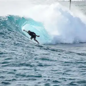 The Maverick Surf and Dive Boutique - 14