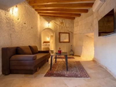 Tulip Cave Suites - 148