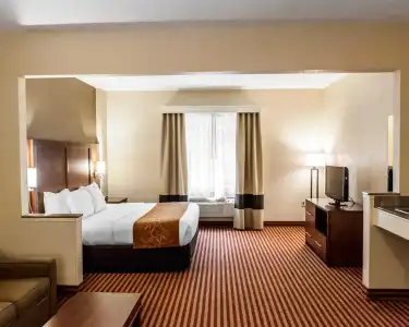 Comfort Suites Raleigh Walnut Creek - 60