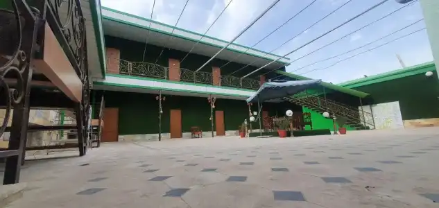 Green House - 80