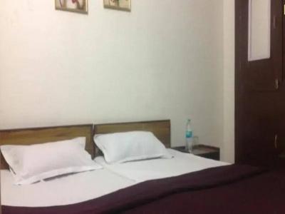 Agra Paying Guest House - 4