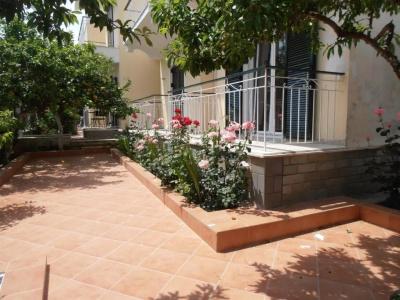 Elenas Garden - 23