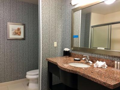 Hampton Inn & Suites Tulsa/Central - 6