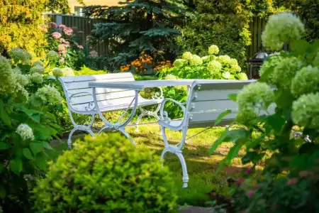 Garden Camping - 30