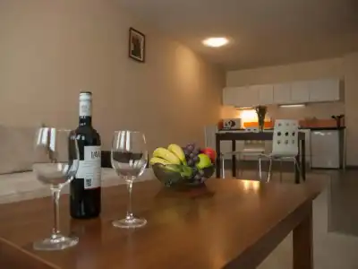 Green Life Family Apartments Pamporovo - 20