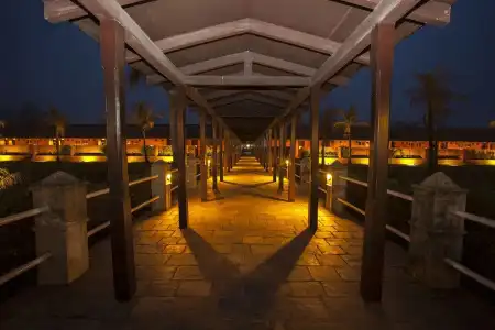 Lumbini Hokke - 12