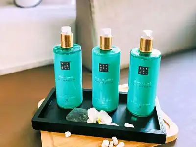 Novotel Spa Rennes Centre Gare - 61
