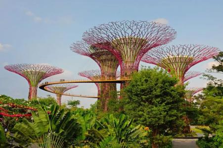 Holiday Inn Express Singapore Katong by IHG - 23