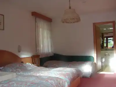 Dolomites Inn - 25