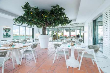 TH8 Palm Vignette Collection, Beach Resort - 23