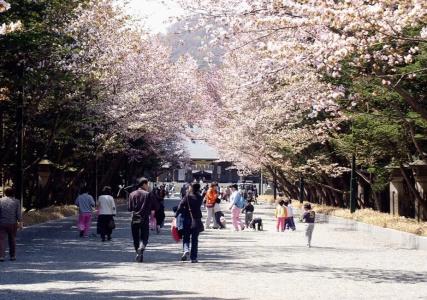 Resol Trinity Sapporo - 22