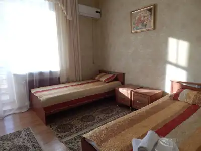 Mini Alikhan - 14