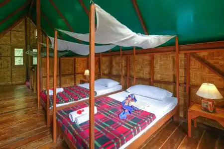 Our Jungle Camp - Eco Resort - 35