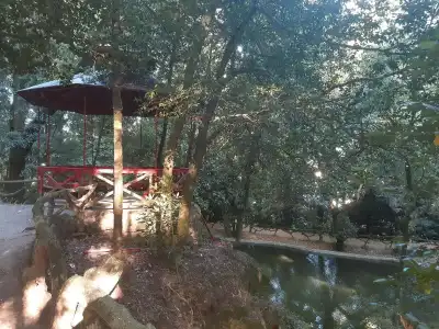 do Parque - 16