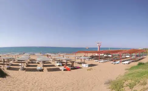 Süral Saray Resort & SPA (+16) - 9