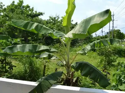 Nata Beach Villa - 18