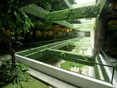 Taw Win Garden - 23